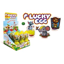 Aras Mr. Lucky Egg Plastik Yumurta Tablet Draje Şeker 24 x 5 G