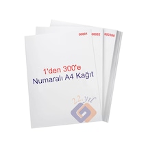1 Den 300 E Numaralı A4 Fotokopi Kağıdı