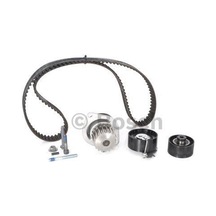 BOSCH 1987948711 TRİGER EKSANTRİK GERGİ SETİ DEVIRDAIMLI 206 207