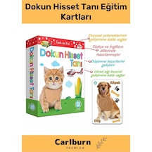 Özel Üretim Duyusal Gelişim Görsel Algı Eğlenceli Öğrenme Çocuk Dokun Hisset Tanı Eğitim Kartları