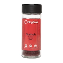Hayfene Sumak 45 G