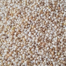 Sade Ak Darı Muhabbet Kuşu Yemi 5 KG