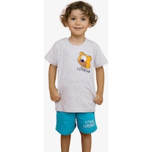Breeze Girls & Boys Erkek Çocuk Şortlu Takım Sevimli Ayıcık Baskılı 1.5-5 Yaş, Açık Gri Melanj-açık Gri Melanj Açık Gri Melanj