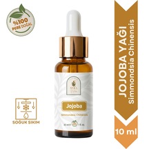 10 ML