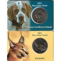 2021 Yılı Tarsus Çatalburun Köpeği Ve Karakulak 1 Kuruş Özel Kitinde Çil