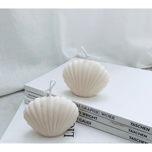 Bernami Vazo Pinterest 2'li Midye Kokulu Mum Diğer