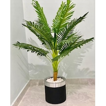 Rüzgar Yapay Çiçekçilik 25x25 Saksıda Areka Ağacı Yeşil