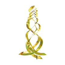 Rogfer Lazer Flaş Kuş Kovucu Meyve Bahçesi Kuş Kovucu Spiral Yansıtıcı Rüzgar Rotoru Altın