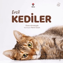 Evcil Kediler Tübitak Yayınları