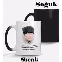 Parlak Siyah
