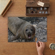 Karada Deniz Fili Yavrusu Tasarımı 240 Parça Ahşap Puzzle Ahşap Kutuda Mpy60140
