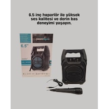 Hnrlıshp Tnabilir 6.5 Bluetooth Hoparlör Usb Tf Kart Mikrofonlu Şarjlı Sistem