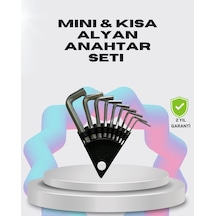 9 Parça Kısa Tip Alyan Seti Isıl İşlemli Profesyonel Kullanım - Lisinya
