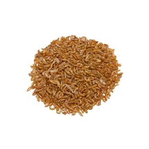 Purecanpati Kurutulmuş Gammarus Kaplumbağa Yemi 25 Gr