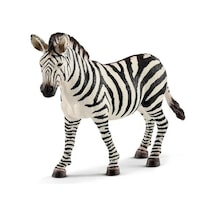 Mey İthalat Dişi Zebra