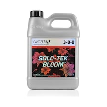 1 L