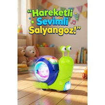 Hayvanlar