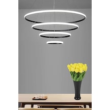 4'lü Halka Siyah Kasa Beyaz Led Avize Salon,oturma Odası