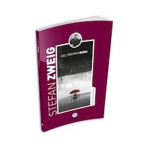 Geç Ödenen Bedel-Stefan Zweig Kitaplığı - Stefan Zweig - Mavi Çatı Yayınları