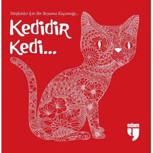 Kedidir Kedi- Edam