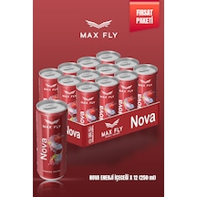 Max Fly Nova Enerji 250 Ml 12 Adet