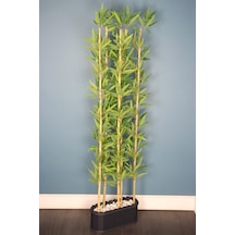 Yapay Çiçek Deposu Dekoratif Saksıda Kırçıllı Yaprak 5 Çubuklu Bambu Seperatör 20x50x200cm