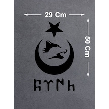 50x29 Cm