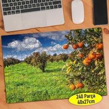 Meyve Bahçesi Portakal Ağacı 240 Parça Puzzle Yapboz-79756611