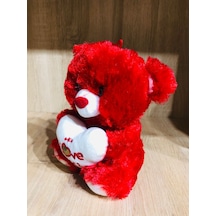Peluş Ayı Seni Seviyorum Yazılı I Love You Kırmızı Karışık