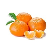 3 Yaş Aşılı Mandalina Fidanı. Torbada