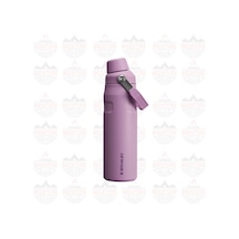 The Aerolight Iceflow Water Bottle Fast Flow 0.6l / 20oz Lilac Lila