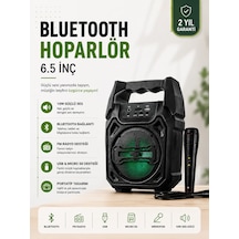 Yeni Nesil 6.5 İnç Bluetooth Hoparlör Mikrofonlu Taşınabilir Ses Sistemi - Lisinya