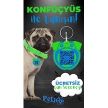 Petjoo 9.Konfüçyüs Mavi-Yeşil Qr'lı Köpek Künyesi