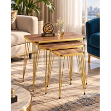 Odera Gold Ceviz Zigon Sehpa 3'lü Set Metal Tel Ayaklı Modern Retro Salon Sehpası Diğer