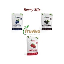 Fruvivo 4'lü Freeze Dry Paket - Elma + Kayısı + Ananas + Mango - Dondurularak Kurutulmuş Meyve Cipsi Şeker İlavesiz %100 Doğal Vegan 90 G