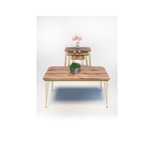 Zigon Sehpa Kr Ve Orta Sehpa Kr Set Çift Gold Ceviz Tel 1110 Diğer