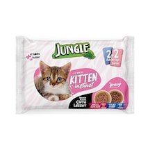 4 X 100 Gr Çift Lezzet Pouch Yavru Kedi Tavuk-kuzu 100 G
