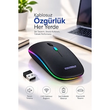 Pg9009 Mouse - Lisinya