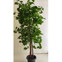 Rüzgar Yapay Çiçekçilik 180 Cm Yeşil Sakura Ağacı Yeşil