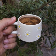 Tr Klasik Çayır Papatyalı Seramik 200 Ml Kupa Bardak Mug Diğer