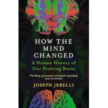 How The Mind Changed: A Human History Of Our Evolving Brain