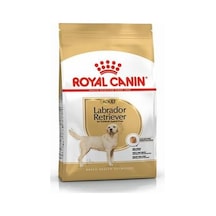 Labrador Retriever Adult Yetişkin Köpek Maması 12 Kg Labrador Retriever Adult Yetişkin Köpek Maması 12 Kg