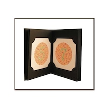 Renk Körlüğü Test Kitabı Renk Körlüğü Kitabı Göz Eşeli Kitabı