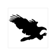 Kartal Folyo Sticker Derstv755 80cm Uzunluk Siyah