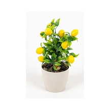 Yapay Çiçekçiniz Beyaz Plastik Saksıda Bambu Gövdeli Yapay Mandalina Ağacı 25 Cm Limon