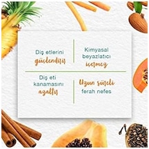 Himalaya Leke Karşıtı Bitkisel Diş Macunu, Florürsüz, Parabensiz, Vejeteryan, Leke Çıkartıcı, Bitkisel Enzim Teknolojisi, 75 Ml