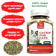 Nunbell Kurutulmuş Doğal Catnip Kedi Nanesi 150 ML