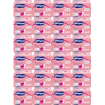 Canped Mesane Pedi Ultra Large-Büyük 240 Adet