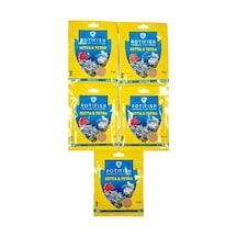 Betta & Tetra Zarf Yem 5 x 15 G