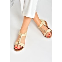 Bej